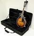 Sunburst F Style Mandolin w/ Hardshell Case & CD Tuning Chart