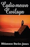 Cydio mewn cwilsyn