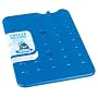 Thermos Freeze Board 800g