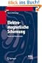 Elektromagnetische Schirmung: Theorie und Praxisbeispiele (VDI-Buch)