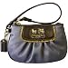 Coach Amanda Wristlet Case Bag 42031 Grey