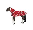 Paradise Horse Paddock Accessory Set