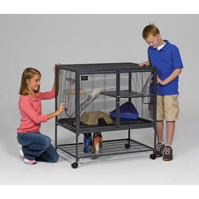 Critter Nation Single Unit with Stand