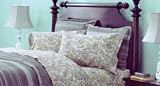 Martha Stewart Paisley Flannel 2 Standard Cases NEW