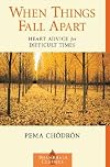 When Things Fall Apart: Heart Advice for Difficult Times [WHEN THINGS FALL APART]