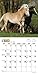 Horse Lovers 2015 Calendar