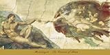 Michelangelo The Creation of Adam Art Print Poster - 30x60