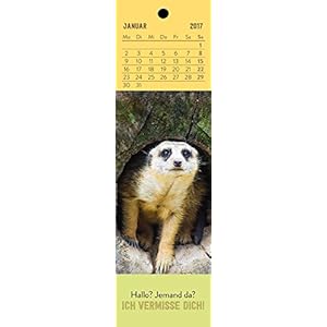 Schön, dass es dich gibt! 2017: Lesezeichenkalender
