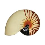 Return to product information