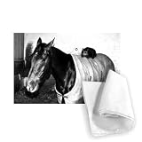 Cat called Josser - Tea Towel 100% Cotton - Art247 - Tea Towel - 46x70cm