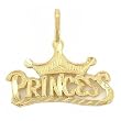 Princess Charm 14k Gold 15mm