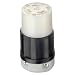 Leviton 2613 30 Amp, 125 Volt, NEMA L5-30R, 2P, 3W, Locking Connector, Grounding, Black-White