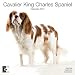 Cavalier King Charles Spaniel 2010 Wall Calendar AP30458