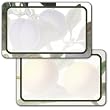 Assorted Fruit - Assorted Adhesive Labels