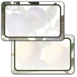 Assorted Fruit - Assorted Adhesive Labels