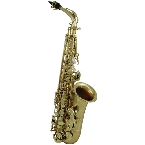 Roy Benson RBAS-302 Eb Professional Alto Saxophone