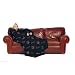 Northwest New York Houston Astros Comfy Throw