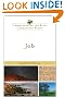 Job (New International Biblical Commentary)