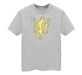 Norway Lion - Youth T-Shirt