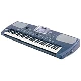 61 KEY BLUE ARRANGER B&W SCREEN