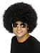 Smiffys Unisex Funky Afro Wig (Black)