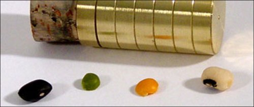 The Brass Pea Can - Magic Trick
