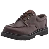 Cat Footwear Men's Fenton Lace Up
