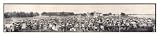 Historic Michigan Auto Panorama 1 Detroit 1909, Panorama