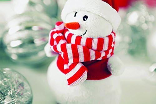 Coordilife Plush Animal and Fruit Microwaveable Warmer (Snowman)