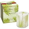 Thymes Poured Candle, Frasier Fir, 6.5-Ounce Jar