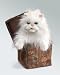 Toys : Folkmanis Gift Box Kitty Puppet