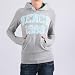 BENCH 1989 Hoody Kapuzensweat grau