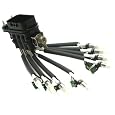 Delphi FJ10566 Fuel Injector