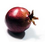 6pc Artificial Large Pomegranates - Pomegranate Plastic Red Fruit - Six Pieces