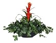 Artificial Single Orange Star Bromeliad Arrangement