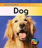 Life cycle of a-- dog