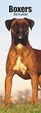 Boxers (International) 2008 Slimline