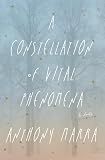A Constellation of Vital Phenomena: A Novel