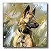 Dogs Belgian Malinois - Belgian Malinois - Wall Clocks