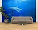 Gray Reef Sharks, Bikini Atoll, Marshall Islands, Micronesia , 144x96