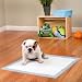 Therapet Puppy Training Pad 100 Count Blue