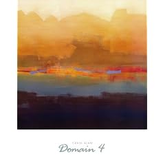 Domain 4 vON Craig Alan, 49x64