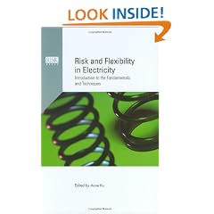 Risk and Flexibility in Electricity: Introduction to the Fundamentals and Techniques