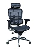 Ergohuman Me7erg - Ergohuman Executive Chair with Headrest in Black - Ships in 24 Hours with a Lifetime Warranty!