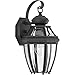 Progress Lighting P6610-31 New Haven One-Light Small Wall Lantern, Polished Chrome