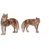 COYOTE by Noah's Pals