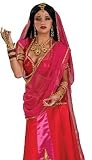Rubies Bollywood Sari Indian Dancer Saree Halloween Costume