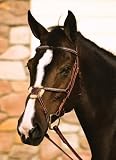 Henri de Rivel Silver Clincher Square Raised Figure 8 Bridle w/Laced Reins