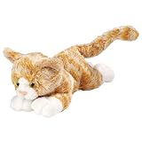 cat-Floppy Orange Tabby Cat 7