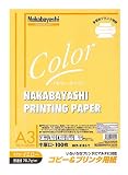 ナカバヤシ　コピー＆プリンタ用紙　A3カラータイプ　　A3サイズ　100枚入　　HCP-3101-Y　